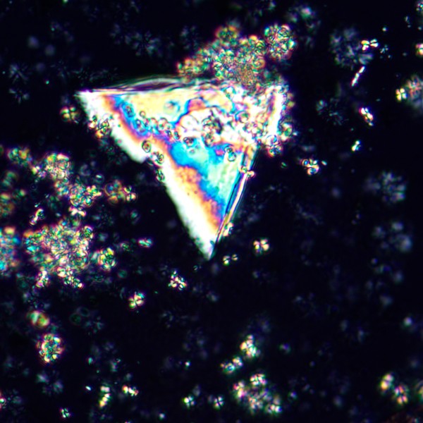 Микроскоп поляризационный MAGUS Pol 850