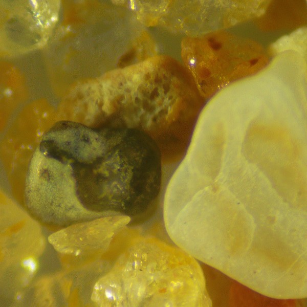 Микроскоп стереоскопический MAGUS Stereo 9T