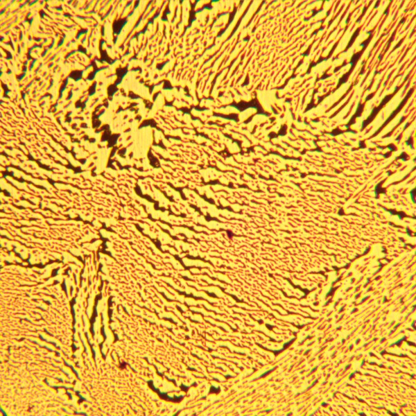 Микроскоп металлографический MAGUS Metal 600