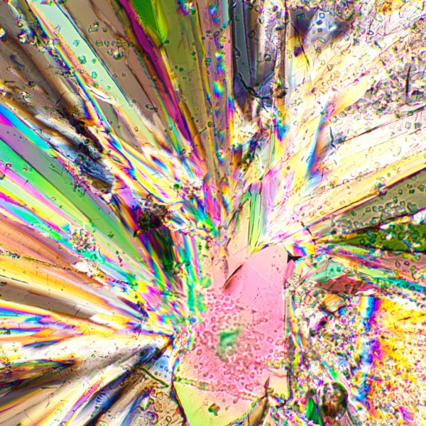 Устройство простой поляризации MAGUS SPD1