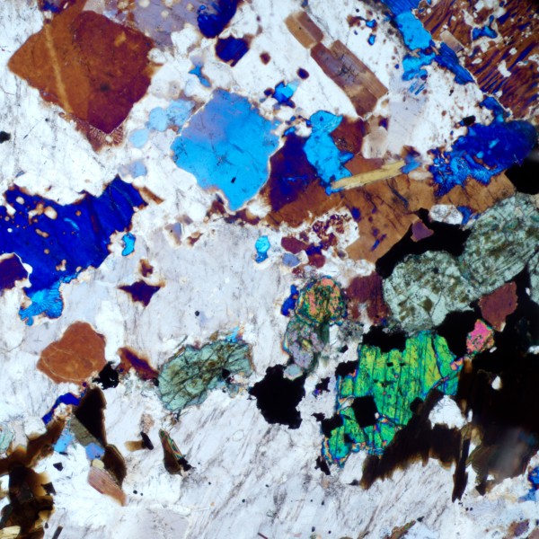 Микроскоп поляризационный MAGUS Pol 800