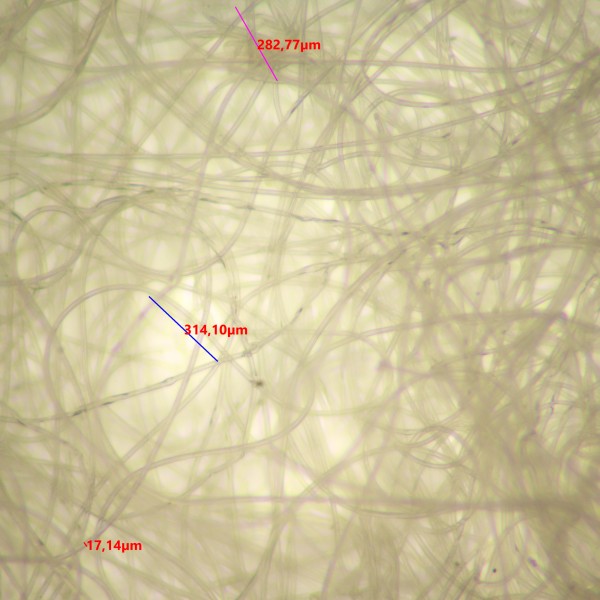 Микроскоп стереоскопический MAGUS Stereo 9T