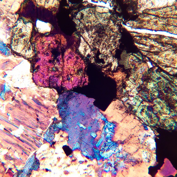 Микроскоп поляризационный MAGUS Pol 850