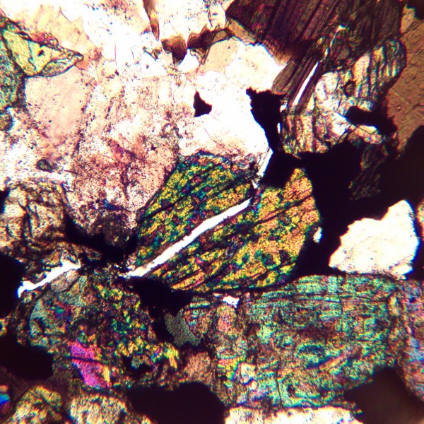 Микроскоп поляризационный MAGUS Pol 890