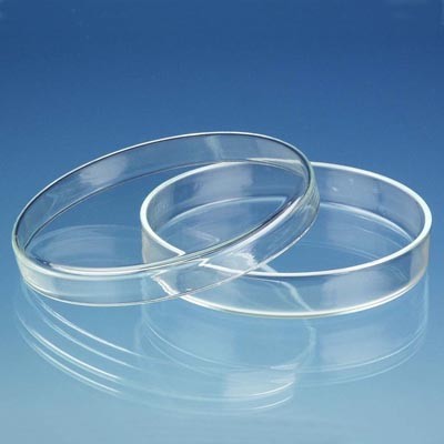 Чашка биологическая (Петри), ЧБН-2