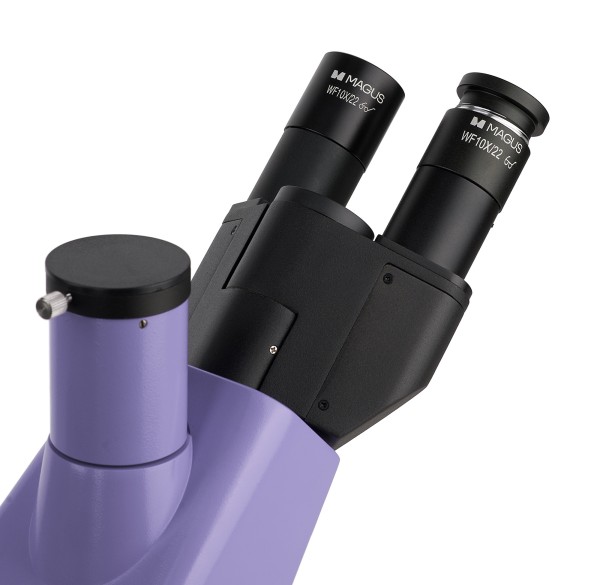 Микроскоп биологический инвертированный цифровой MAGUS Bio VD300 LCD