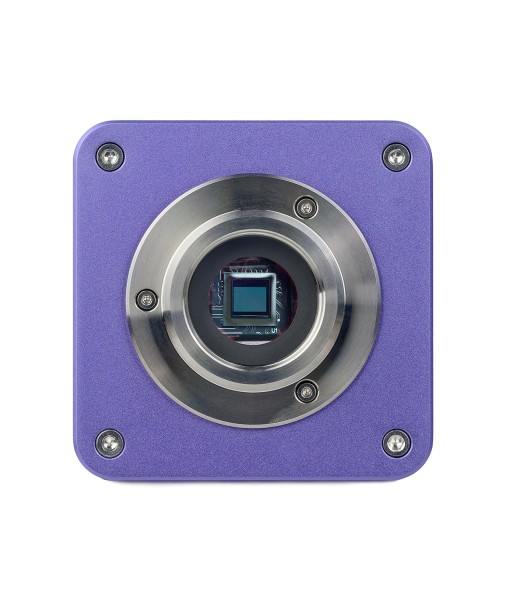 Микроскоп стереоскопический цифровой MAGUS Stereo D8T BASE