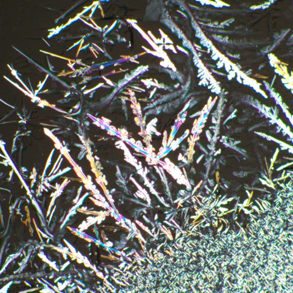 Устройство простой поляризации MAGUS SPD1