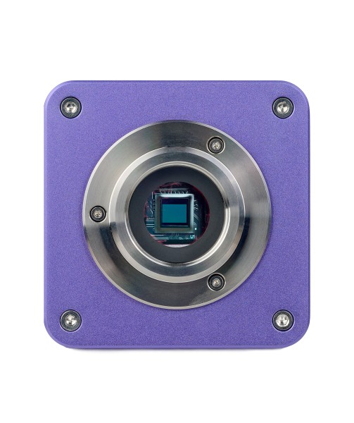 Микроскоп стереоскопический цифровой MAGUS Stereo D9T