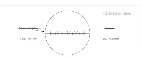 Слайд калибровочный MAGUS CS3 (0,01/0,05/0,1)