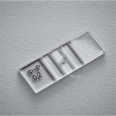 Камера Фукса-Розенталя