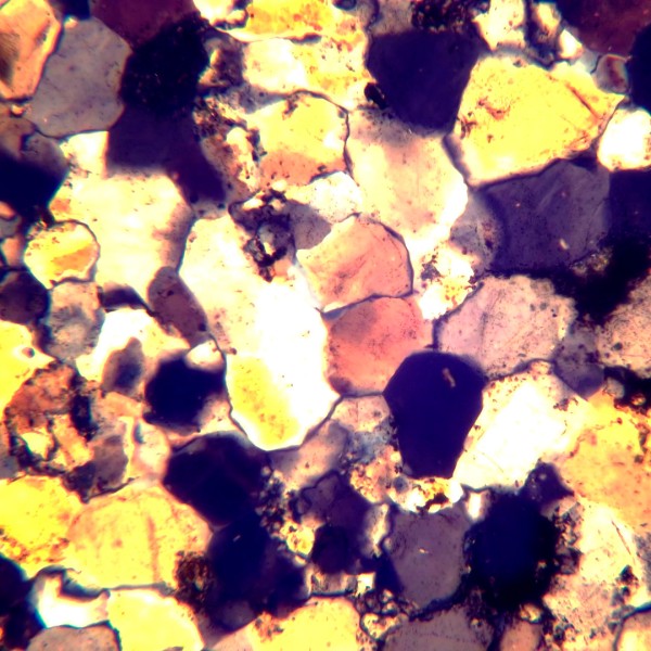 Микроскоп поляризационный цифровой MAGUS Pol D800 LCD