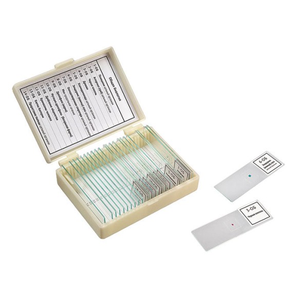 Набор препаратов Общая биология (14 обр.)