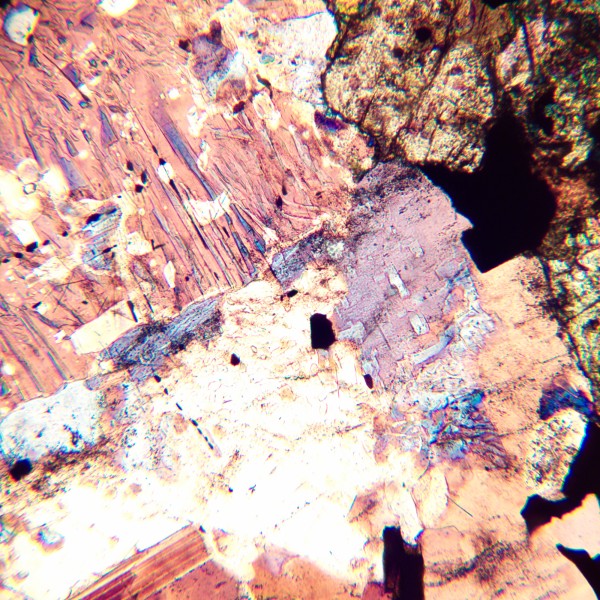 Микроскоп поляризационный цифровой MAGUS Pol D800