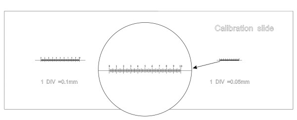 Слайд калибровочный MAGUS CS3 (0,01/0,05/0,1)