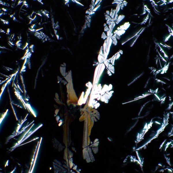 Устройство простой поляризации MAGUS SPD2