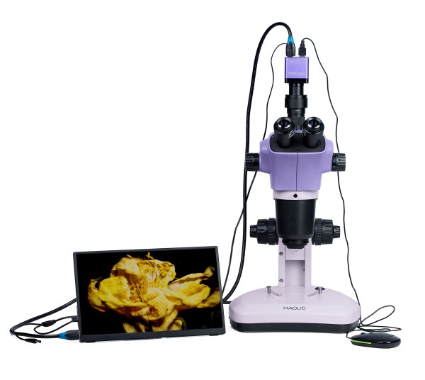 Микроскоп стереоскопический цифровой MAGUS Stereo D9T LCD