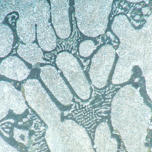 Микроскоп металлографический инвертированный цифровой MAGUS Metal VD700 LCD