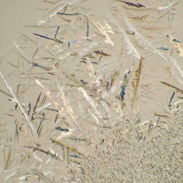 Микроскоп биологический MAGUS Bio 230T