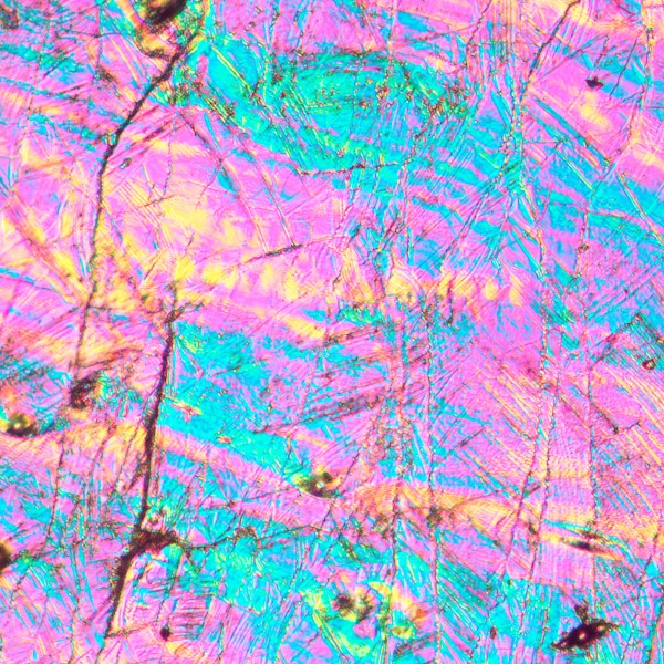 Микроскоп металлографический инвертированный MAGUS Metal V700 DIC