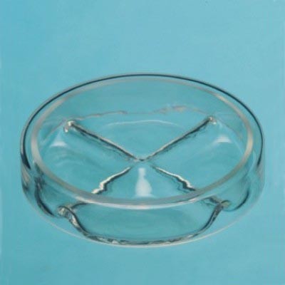 Чашка Петри ЧМ (2 секции)