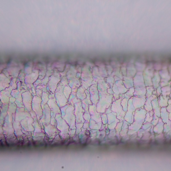 Микроскоп поляризационный цифровой MAGUS Pol D800