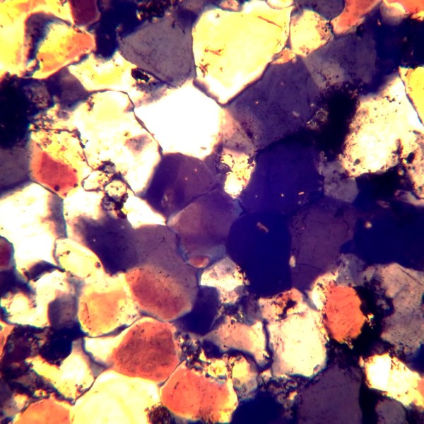 Микроскоп поляризационный MAGUS Pol 850