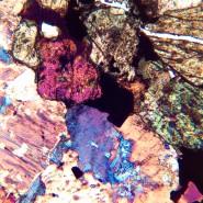 Микроскоп поляризационный цифровой MAGUS Pol D850