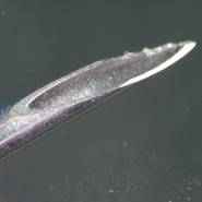 Микроскоп стереоскопический MAGUS Stereo 9T