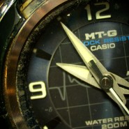 Микроскоп стереоскопический цифровой MAGUS Stereo D8T PLUS