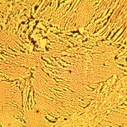 Микроскоп металлографический MAGUS Metal 600