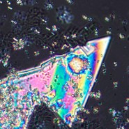 Микроскоп поляризационный цифровой MAGUS Pol D800