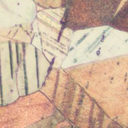 Микроскоп металлографический MAGUS Metal 600 BD