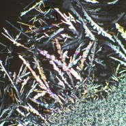 Устройство простой поляризации MAGUS SPD1