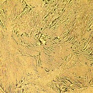 Микроскоп металлографический MAGUS Metal 600