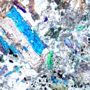 Микроскоп поляризационный цифровой MAGUS Pol D850