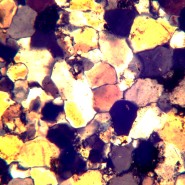 Микроскоп поляризационный цифровой MAGUS Pol D800 LCD