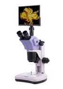 Микроскоп стереоскопический цифровой MAGUS Stereo D9T LCD