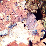 Микроскоп поляризационный цифровой MAGUS Pol D800 LCD