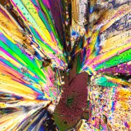 Устройство простой поляризации MAGUS SPD2