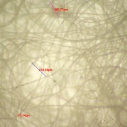 Микроскоп стереоскопический цифровой MAGUS Stereo D9T