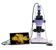 Микроскоп стереоскопический цифровой MAGUS Stereo D9T LCD