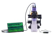 Микроскоп люминесцентный инвертированный цифровой MAGUS Lum VD500L LCD