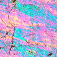 Микроскоп металлографический инвертированный MAGUS Metal V700 DIC