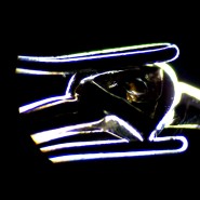 Микроскоп стереоскопический MAGUS Stereo 7T