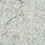 Микроскоп металлографический MAGUS Metal 630